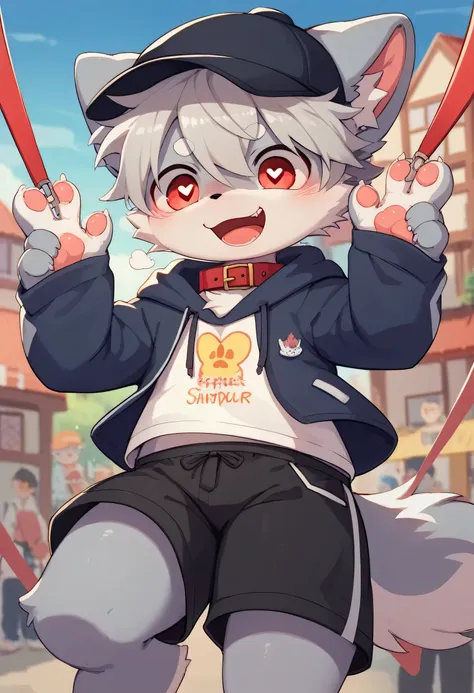 very detailedな, very detailed, gray fur, gray hair, age 15,m ale, excited, heart eyes, participate, red collar, cute face, flu f...