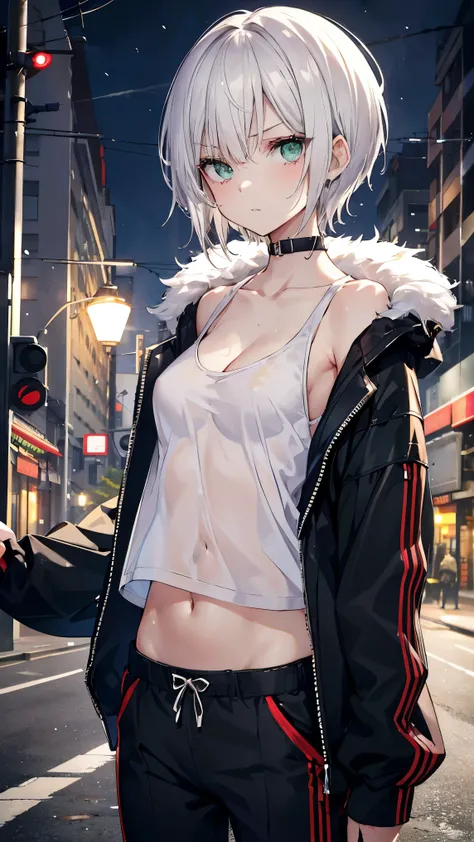  best quality、 Silver Hair、(Whitening skin)、Green Eyes、 very short hair ,Short Hair, straight hair 、Petite、Slanted Eyes、 Im in a bad mood、 slender、Sweaty、 cleavage、snow pattern 、 slender、Street lamp、 tank top 、 jacket,navel, sarouel pants,fur