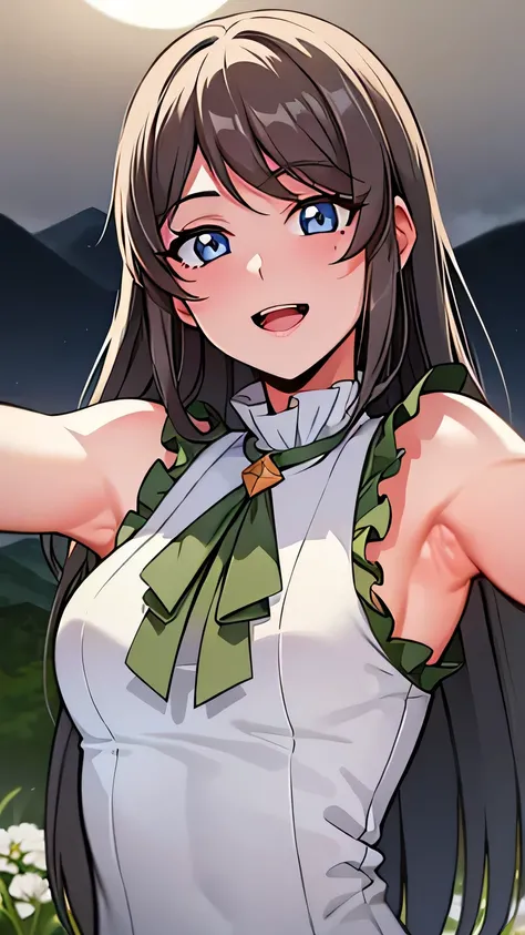 quality, masterpiece, highly detailed, 8k, masterpiece, tilly wimbledon, sleeveless, 1girl, smile, open mouth, blush, detailed face, detailed eyes, medium breast, blue eyes, top of mountain, night, moon, ((armpit)), 