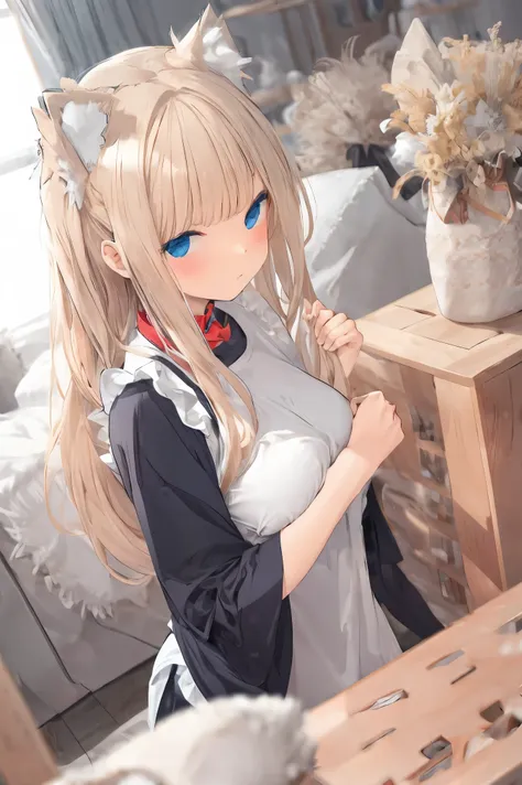 maid girl with cat ears folding clothes