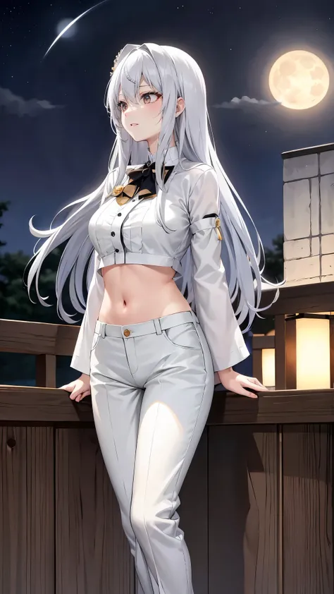  long silver hair 、  tension as the inner color for long hair, yellow eyes , Moonlight、 moonlight、、、, full body composition from head to toe、Chuckle、Older sister、Sexy Fashion、blouse、Belly button exposed、Tapered trousers、Night Beauty、A fearless face、Yamato ...