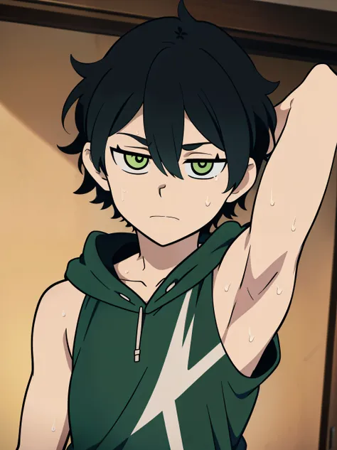 Highres, Masterpiece, Best quality at best,Best Quality,hight quality, hight detailed, Anime style, 1boy, Shota, Young boy, Young andy graves, hair between eyes, closed mouth,black hair, green eyes, Slim body, messy hair, look at viewer, Sleeveless hoodie,...