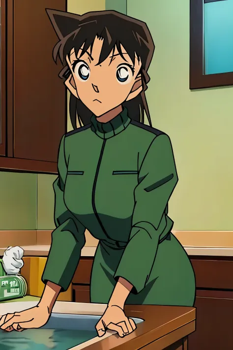 {{{mouri ran}}},{{{detective conan}}},{{{long hair}}},{{{official style}}},{{{adult}}},green dress,one-piece dress,turtleneck,gr...