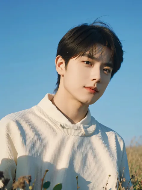 nansheng , 1 , Alone, male focus, sky, exterior, sky, real, shirt, Grass, upper body, shirt blanca, keep your mouth shut , ( best shade), complex, bright, lens distortion correction, ( best shade), complex, bright, lens distortion correction