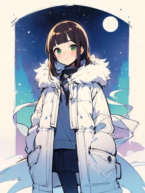 solo, upperbody, brown hair, (blunt bangs), green eyes, white fur coat, black tights, boots, lovers atmosphere, blush, winter sky, night sky, stars, aurora, (manga style), (sketch), (illustration) ,