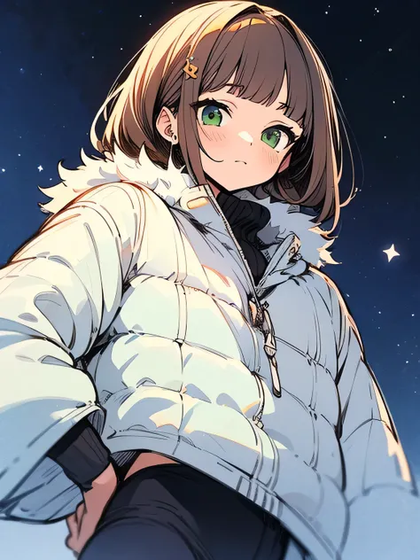 solo, upperbody, brown hair, (blunt bangs), green eyes, white fur coat, black tights, boots, lovers atmosphere, blush, model pose,winter sky, night sky, stars, aurora,(i am a main charactor:1.3), (manga style), (sketch), (illustration) ,