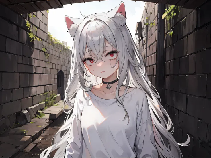 (((Fainting, eyes rolling up, collapsing))), (daunted, despair, helpless), 1 girl, upper body, (loli:1.3), (red eyes, turime, cat ears), ((messy hair)), (long hair, straight hair, gray hair), (small breast), (((oversize white shirts))), (((bottomless))), (...