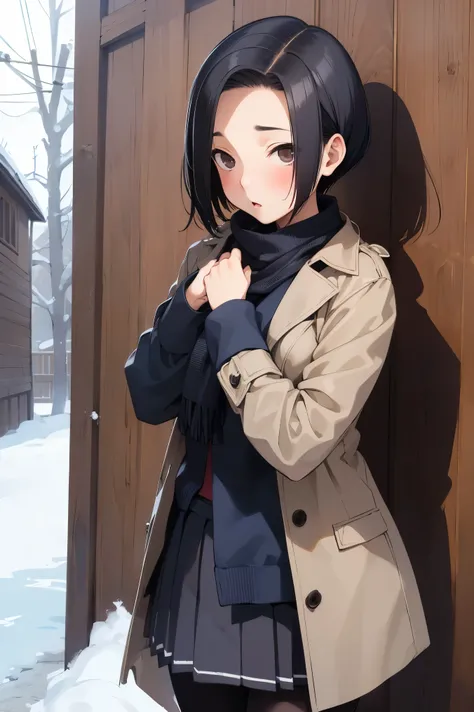 NSFW,masterpiece, best quality, high definition , very detailed,Ah-rinko 、 shorthair、 black hair、 bob cut 、 Long Coat , muffler , skirt, pantyhose,snow,blush