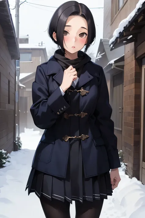 NSFW,masterpiece, best quality, high definition , very detailed,Ah-rinko 、 shorthair、 black hair、 bob cut 、 Long Coat , muffler , skirt, pantyhose,snow,blush