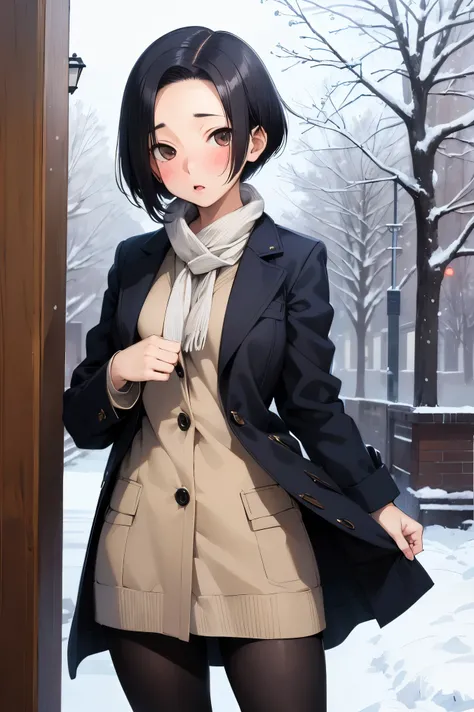 NSFW,masterpiece, best quality, high definition , very detailed,Ah-rinko 、 shorthair、 black hair、 bob cut 、 Long Coat , muffler , pantyhose,snow,blush