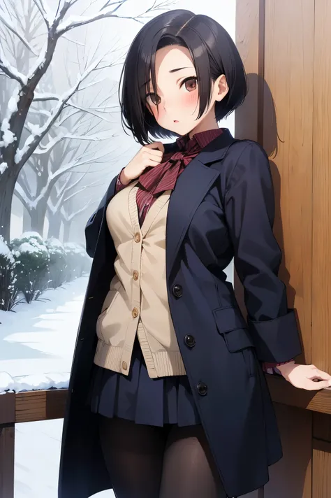 NSFW,masterpiece, best quality, high definition , very detailed,Ah-rinko 、 shorthair、 black hair、 bob cut 、 Long Coat , muffler , pantyhose,snow,blush