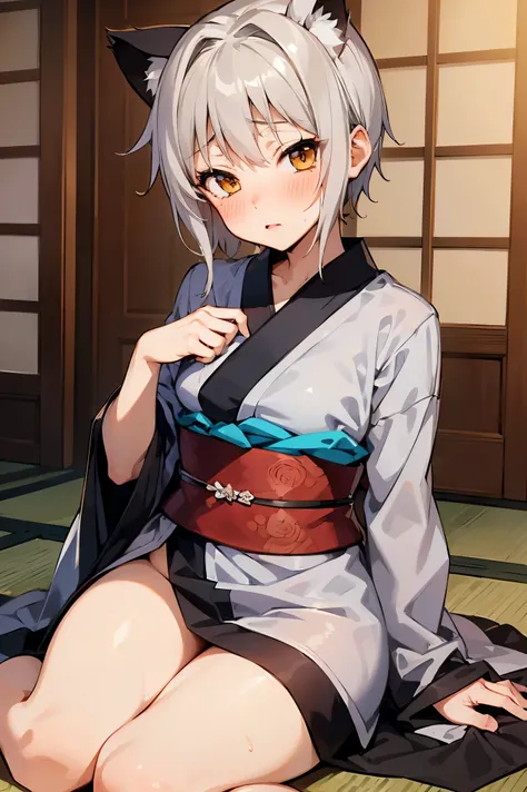 NSFW,masterpiece, top quality, high definition , very detailed,Tacheng kitten,Gray Hair, shorthair, kimono,kimono,blush