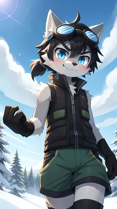 score_9,score_8_up,score_7_up, source_cartoon, source_furry, Furry shota, wolf, black hair, messy hair, long messy ponytail, blue eyes, detailed body fur, ((goggles, black padded vest, sleeveless, green short pants, gloves)), looking at you, fangs, clear g...