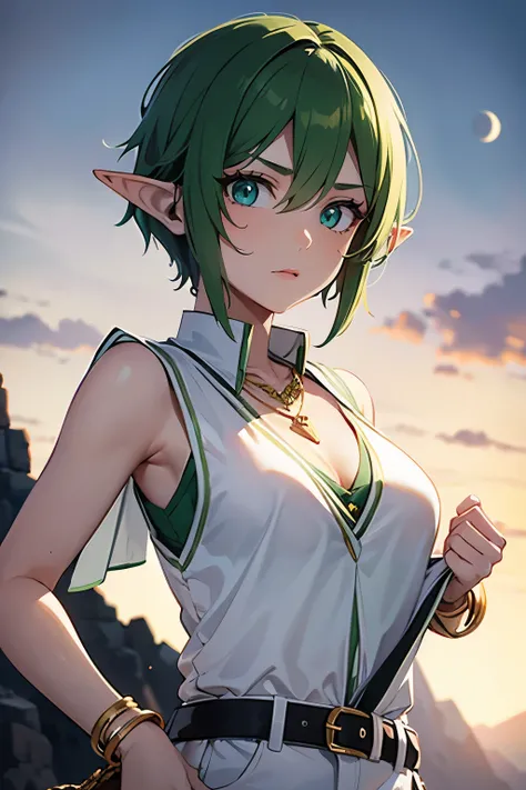 adult elf woman with green short waved hair and green eyes,very flat breast, small flat breast),(( wears a white top and long vest without sleeves that covers skin)), wears golden necklace with green pendant, brown pants, nature in night in background, icy...