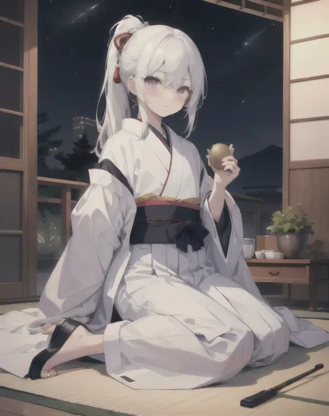 1 boy,  one boy ,130cm, Shota,  long hair,  white hair in a narrow box, Ponytail , Warring States Period ,Purple Eyes ,Old-fashioned Japanese clothing  ,Shoulder coat, Tie-up hakama, The motif is white,  watching the night sky,  cute,  full body,  sitting