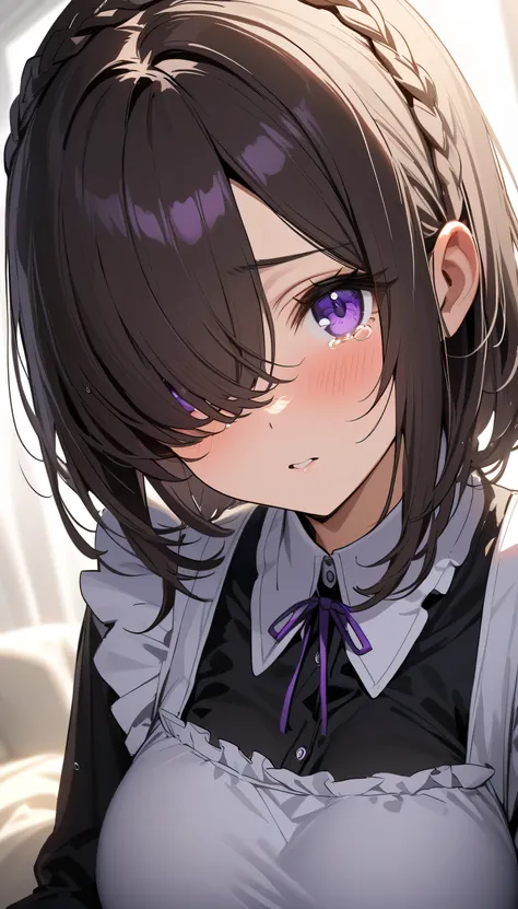 (masterpiece, Highest quality:1.2), (1girl), alone, ((medium hair)), ((dark brown hair)), (straight hair), ((hair over face)), (hair over one eye), (hair over right eye), (black maid dress), white apron, long sleeves, (purple eyes), (big breast), high deta...