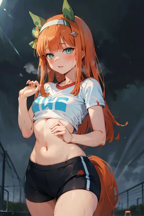 NSFW,masterpiece, top quality, high definition , very detailed , silence Suzuka (Horse Girl),sweat,blush,Gym clothes, bra, panties, Its raining, underwear is transparent