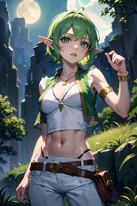 adult elf woman with green short waved hair and green eyes,very flat breast, small flat breast),(( wears a white top and long vest without sleeves that covers skin)), wears golden necklace with green pendant, brown pants, nature in night in background, icy...