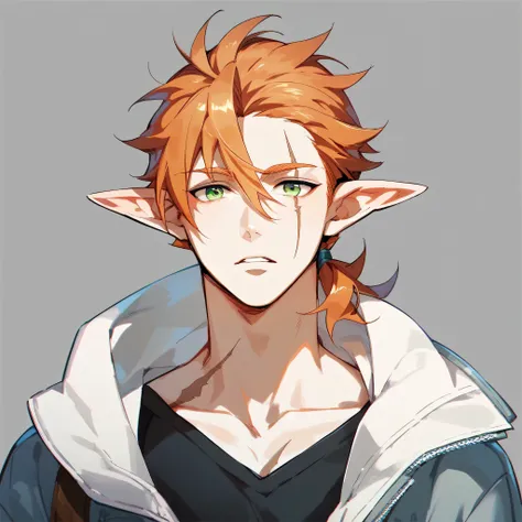 Man, elf, white skin, long orange hair, tied hair, green eyes, scar on right face
Wearing a gray jacket with light white details