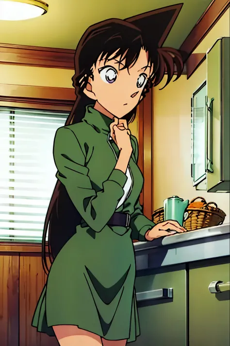 {{{mouri ran}}},{{{Detective Conan}}},{{{long hair}}},{{{official style}}},{{{adult}}},green dress,one-piece dress,turtleneck,green miniskirt, {light green cropped mini jacket},{light green cropped mini jacket},green socks,,sink,laundry,kitchen,bringing up...