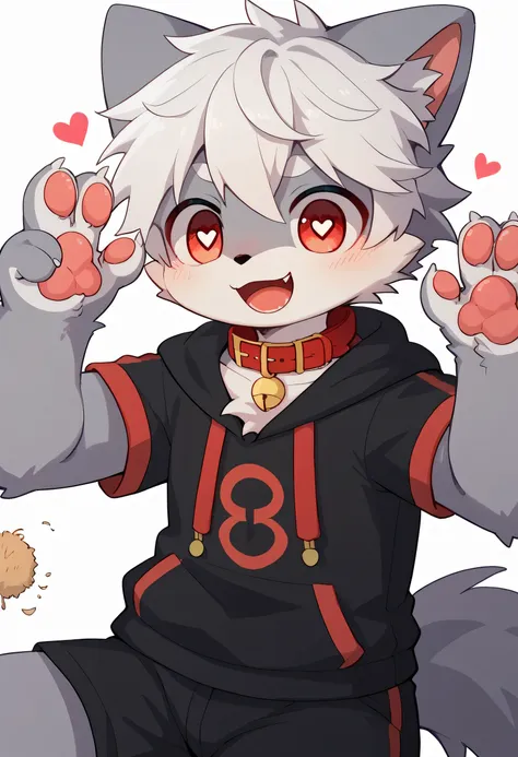   very detailed bustな,  very detailed bust, gray fur white hair ,Age 15,male,  excited to see bones  , Wolf pelt, excited,participate,  cute face,  something like fluffy fur ,Horny maleの子,Red collar,Cute ears ,Fluffy ears ,Fluffy ears , show me your legs ,...