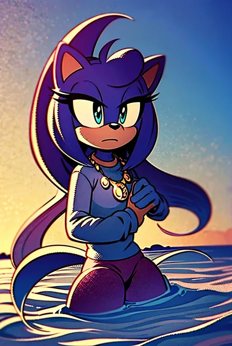 She is an anthropomorphic hedgehog with semi dark purple quills and fur. Her eyes are a sea blue. She wears a dark blue long sleeve shirt with purple pants. She also wears a necklace with a sapphire water pendant attached to it.