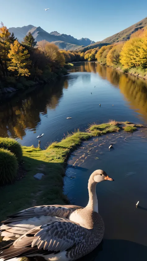  in high-definition images，The sun fades away with a lonely goose in the distance,  Sunlight flies with geese in the oasis、 the water of an autumn river is connected to the vast sky , 