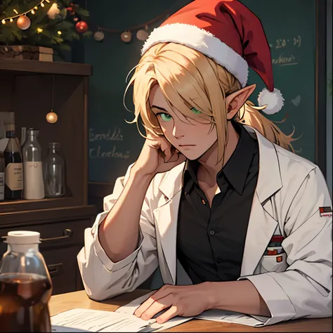 Male, adult, blonde, elf, wizard, ponytail, green eyes, hair covering one eye, lab coat, with a christmas hat, 