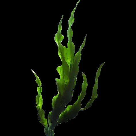  There is a type of plant that grows out of a vase, Seaweed, Seaweed floating, twirling glowing  marine plants , , tall kelp, plume of Seaweed, sea kelp,  marine plants , kelp, plume made of Seaweed, floating kelp, Underwater plants, translucent  algae  or...