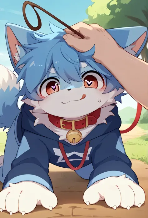   very detailedな,  very detailed,Blue fur,Blue Hair,male, bones,Heart Eye,participate,Connect the collar to the leash, cute face, something like fluffy fur , excited,Horny boy, on all fours,smile,Plains,From your husband , collar string ,Lets get from your...