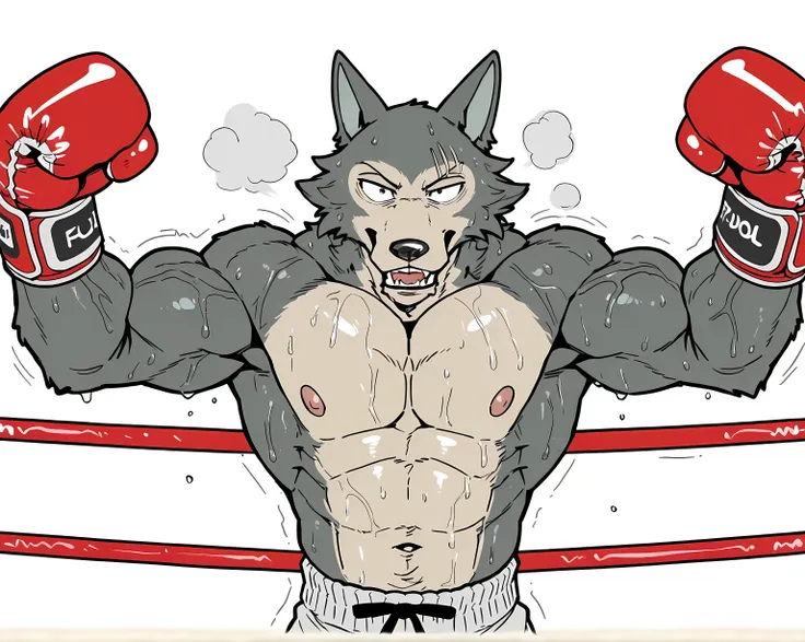 l3gosh1, beastars, male, solo, wolf, muscular, athletic, masculine, (small eyes), flat color, boxing_gloves, sweaty body, veiny arms, bulging muscles, boxing, dynamic_pose, posing, boxing_shorts, half body, glistening body, boxing_pov, boxing ring, leaning...