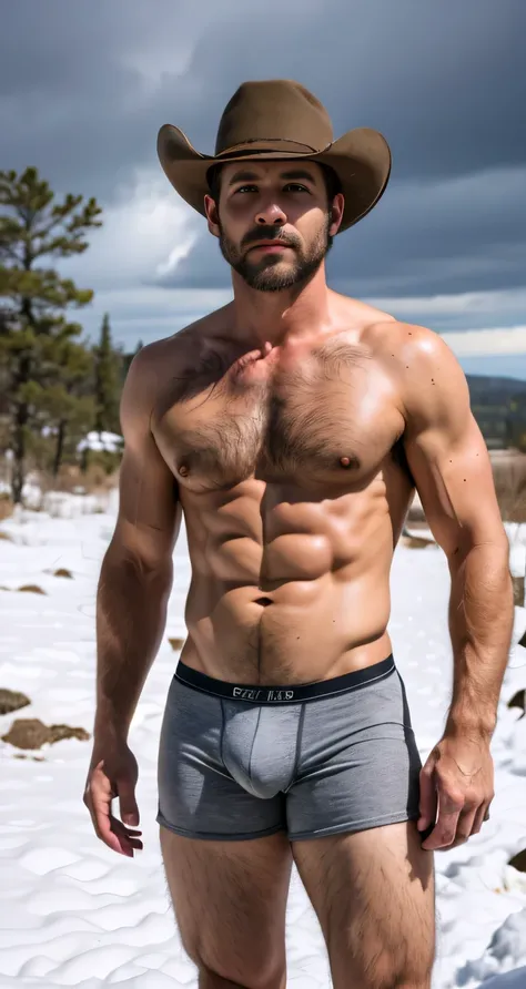 Handsome uncle,Around 40 years old,American Man、 short hair，Very handsome、Abdominal muscles、  Chest muscles  、CK triangle underwear、Body hair、  full body photo ，external，In the wilderness, cactus,Cowboy hat, thunderstorm weather ,Snow,Expose the part of th...