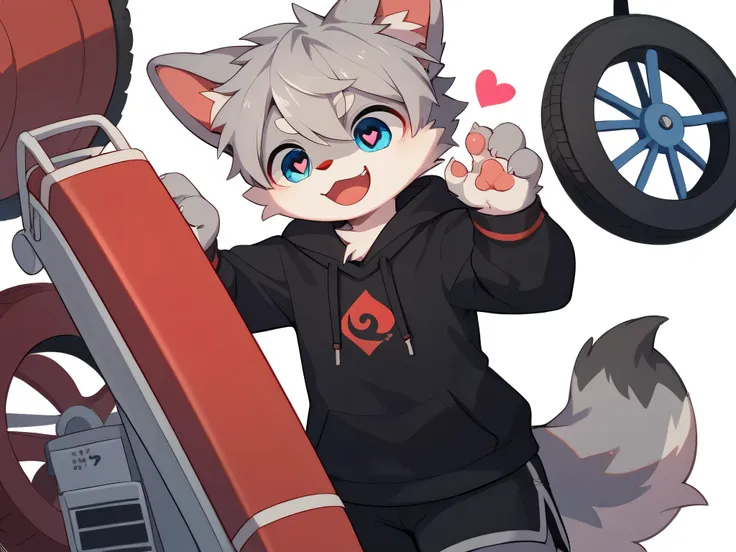  very detailed な,  very detailed, gray fur on gray hair , Age 15,male, I'm looking forward to looking at the bones ,  was excited, Participation,  cute face ,  fluffy fur , Horny maleの子,  Akai's first wheel, Blue cute ears , Fluffy ears ,Fluffy ears, cute ...