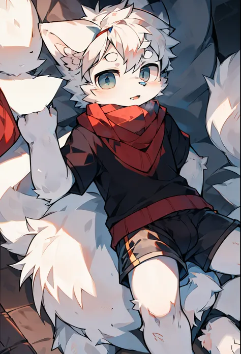 Arctic Wolf Boy，furry boy， toddlers， white hair ，scarf，Short sleeve， shorts