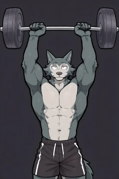 l3gosh1, beastars, male, solo, wolf, muscular, masculine, simple background, posing, (black outline), half body, half view, shorts, lifting weights, working out, looking up, arms up