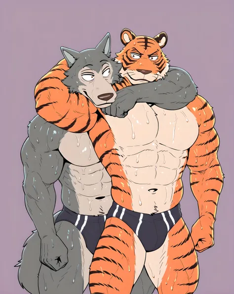 l3gosh1, beastars, male, wolf, muscular, athletic, masculine, BillBeastars, male, anthro, bengal tiger, tiger, brown eyes, muscular male, athletic build, orange fur, black stripes, flat color, sweaty, shirtless, speedos, simple background, sweaty body, two...