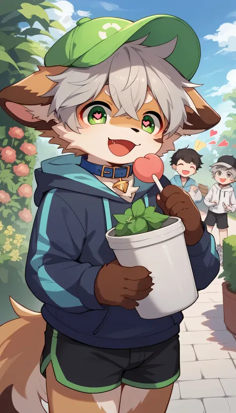  very detailedな, very detailed, brown fur gray hair ,Age 15、male,骨を見てExcited, heart eyes,participate,Blue collar, green white and colored hat, cute face, fluffy fur like one,Excited, Horny boy,garden,Smiling face,Dropped ears,Want,Let's play with me！aldult...