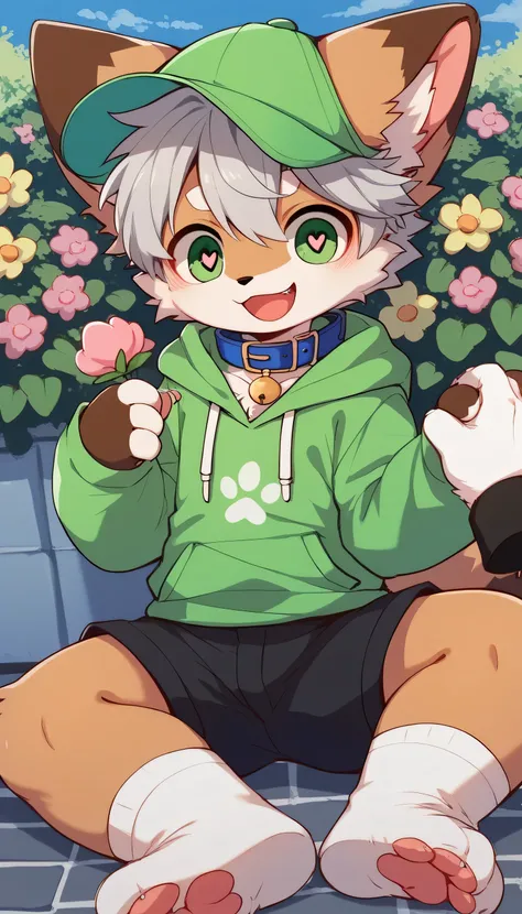  very detailedな, very detailed, brown fur gray hair ,Age 15、male,骨を見てExcited, heart eyes,participate,Blue collar, green white and colored hat, cute face, fluffy fur like one,Excited, Horny boy,garden,Smiling face,Dropped ears,Want,Let's play with me！aldult...