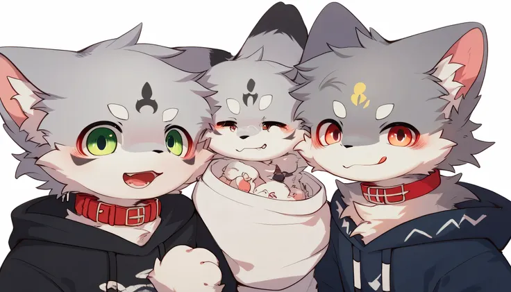   enjoying great detail very detailed,gray hair and gray fur , shemono,Age 15,Participation, red collar,  cute face,  fluffy fur  ,Horny boy , white background,  embarrassed face, droopy ears,,Two friends ,  black shorts ,  sweatshirt ,  Long Sleeve ,trend...