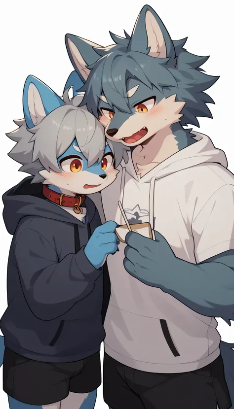   in great detail having fun in great detail,gray hair and gray fur , blue fur ,blue wolf, shemono,Age 15,Participation, red collar,  cute face,male, fluffy fur ,Horny boy,A boy, white background,  embarrassed face,cute grey fur fur , estrus, droopy ears,,...