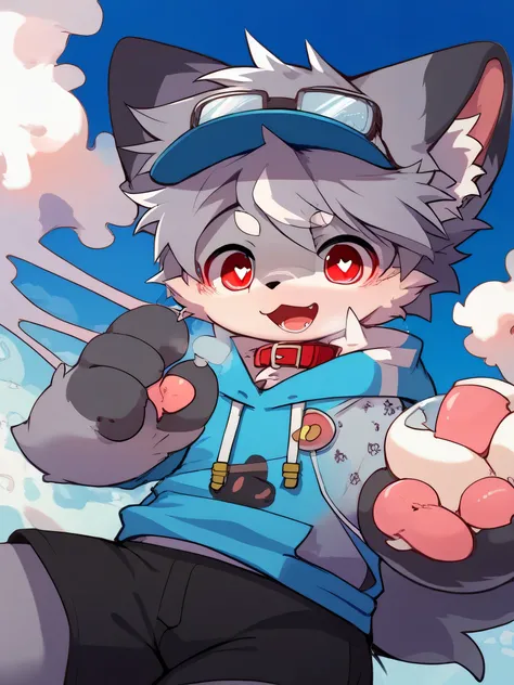 very detailedな, very detailed, gray fur, Gray Hair, Age 15,m ale, excited, heart eyes, participate, Red collar, cute face, flu ffy fur, Horny boy, Cheeky, blue hat, flying, blush nose, is e mbarrassing, ahe face, R18, black shorts, sweatshirt, Long Sleeve,...