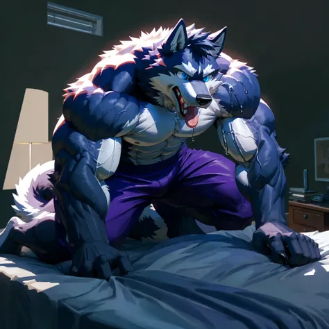  male siberian husky、purple trunks 、 completely naked、 very massive full body muscles 、 beautiful abs 、Hands touching belly、 huge bulging crotch 、 bed background、teeth、tongue、saliva、tail、 blue eyes、Slanted Composition 、