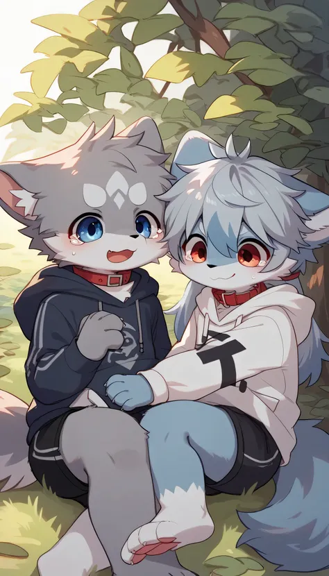   very detailed having fun in great detail,gray hair and gray fur , gray wolf , shemono,Age 15,Participation, red collar on the floor,  cute face,  fluffy fur ,The three cute furries dance ！Horny boy , white background ,(Two animals cry together ) embarras...