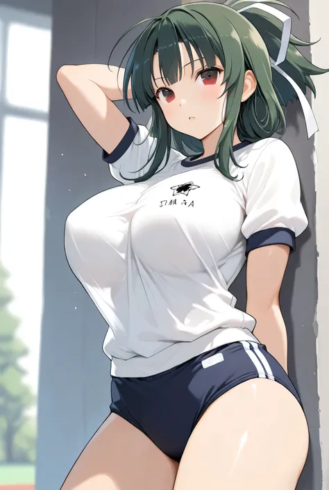 \(senran kagura\),large breasts,gym uniform,buruma,1girl,solo,