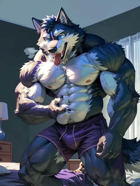  male siberian husky、purple trunks 、 completely naked、 very massive full body muscles 、 beautiful abs 、Hands touching belly、 huge bulging crotch 、 angle looking up from below、 bed background、teeth、tongue、saliva、tail、 blue eyes、Slanted Composition 、 White B...