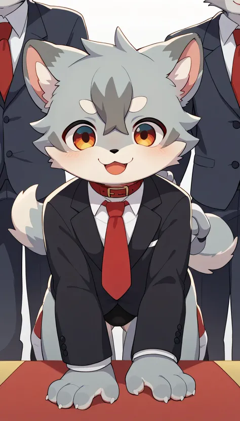    dancing happily in detail , gray hair and grey fur ,   grey fur,shemono   ,age 15,Participation,  tie a red collar to a string, cute face,   fluffy fur  , 3 cute furry creatures dance  ！horny boy , suit, tram,black suit ：Doggy with a shy face ,cute grey...