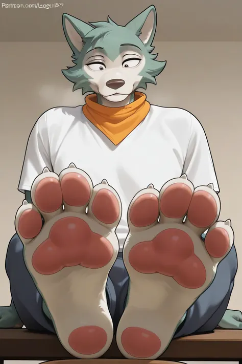 1 , furry, legoshi, beaststars, paws, pawpads,  foot fetish, foot focus, alone, solo