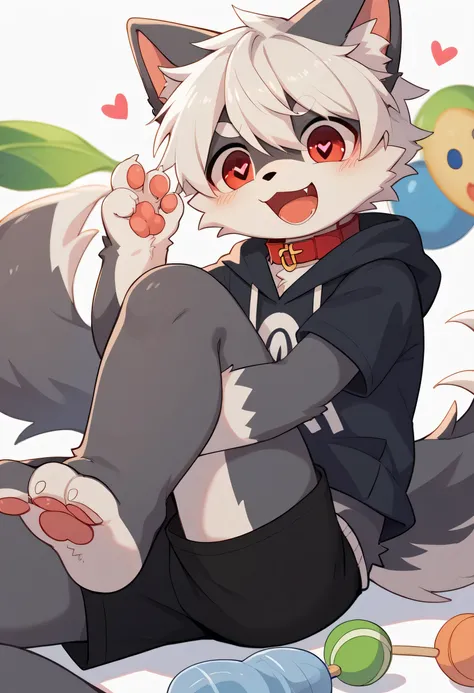   very well detailedな,  very well detailed, gray fur white hair ,Age 15,male,   excited to look at the bones   , Wolf pelt, excited,Participation,  cute face,  Show me your legs ,Horny maleの子, red collar on the floor,Cute ears ,Fluffy ears ,Fluffy ears , s...