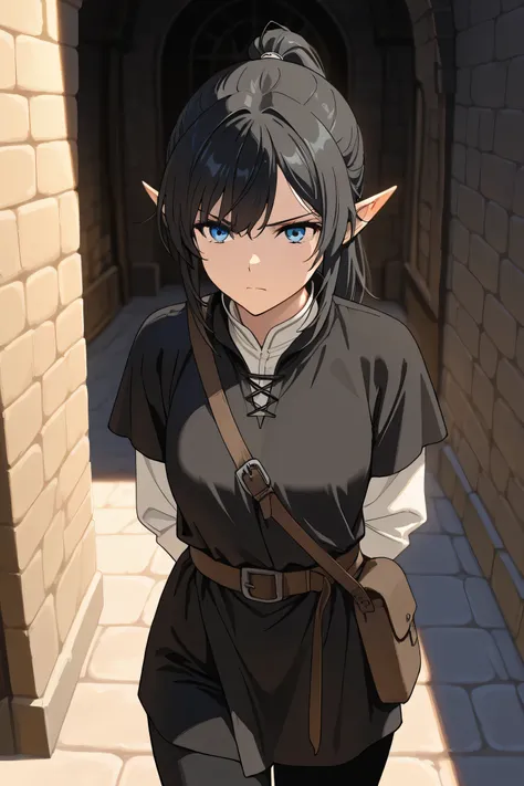 Masterpiece , newest , safe, Beautiful woman , black hair in a ponytail , blue eyes , elf, , medieval black tunic, medieval white shirt , cunning look , , black pants , Beautiful woman , elf...