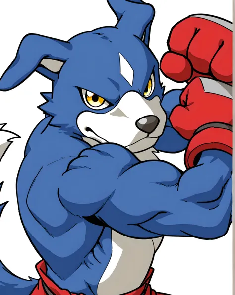 gaomon, digimon (creature), dog boy, blue body, furry, dog, blue fur, yellow eyes, high quality, male, solo, white background, no background, big, looking at viewer, posing, (half body, half view), muscular arms, thick arms, wearing boxing gloves, boxing p...